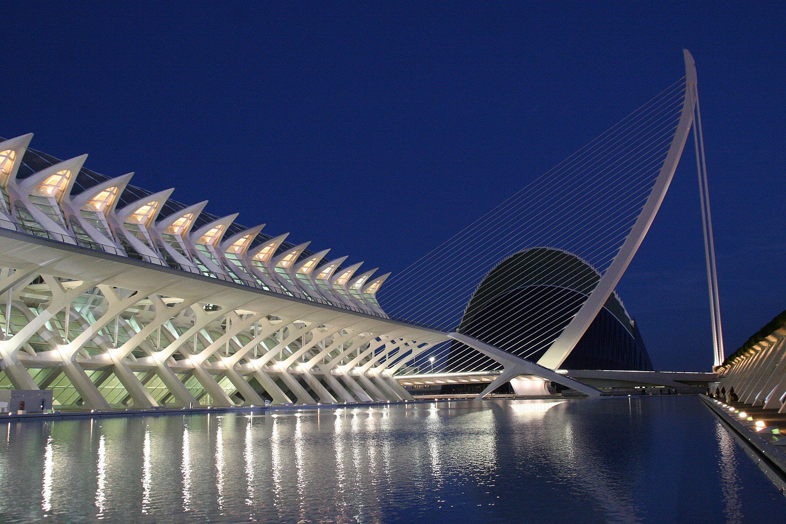 Portfolio image 11