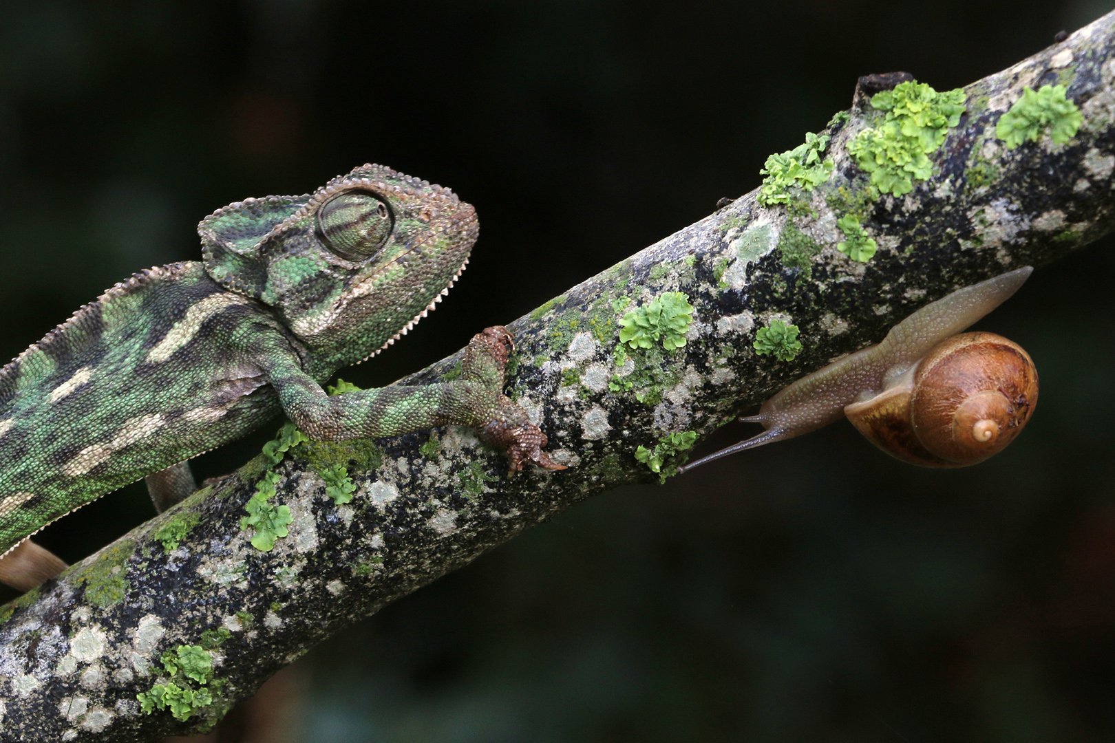 Portfolio image 12