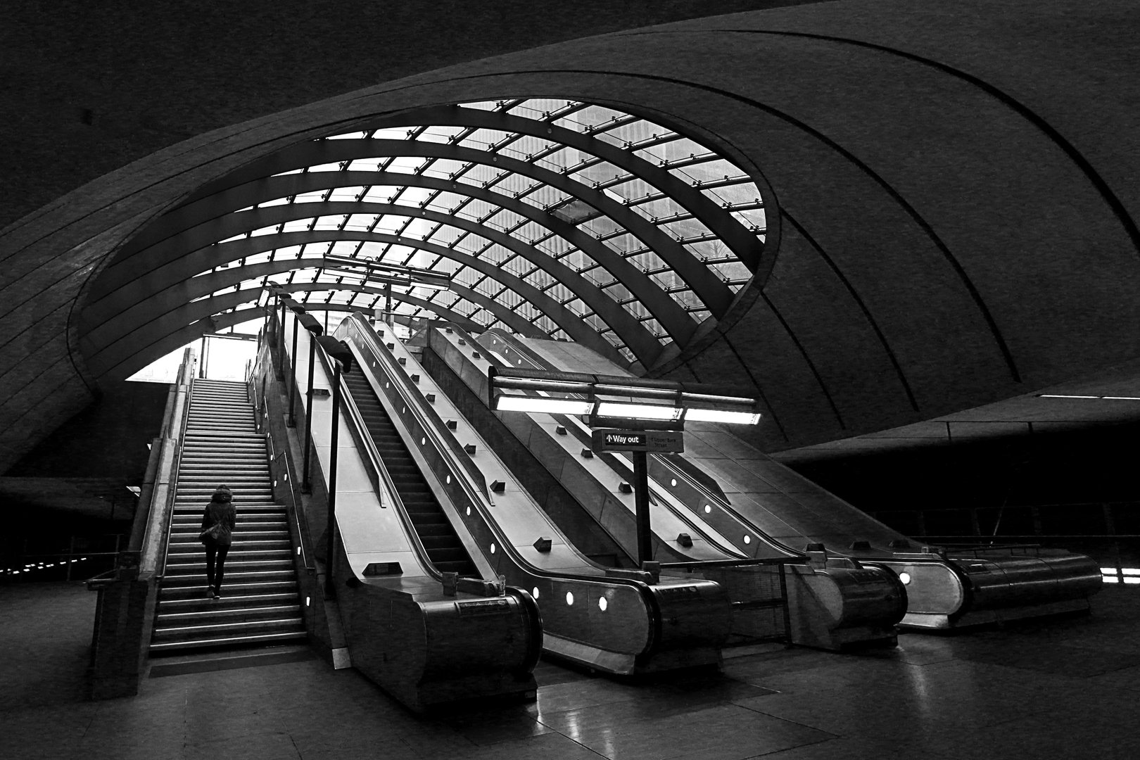 Portfolio image 13