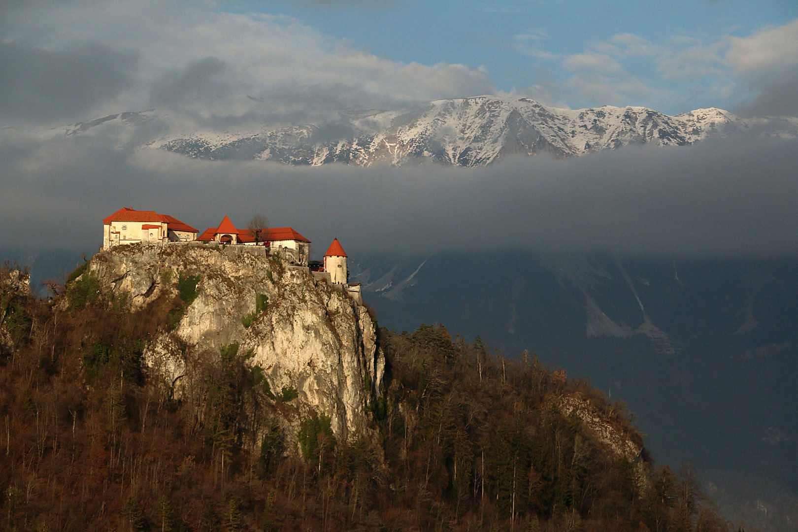 Portfolio image 5