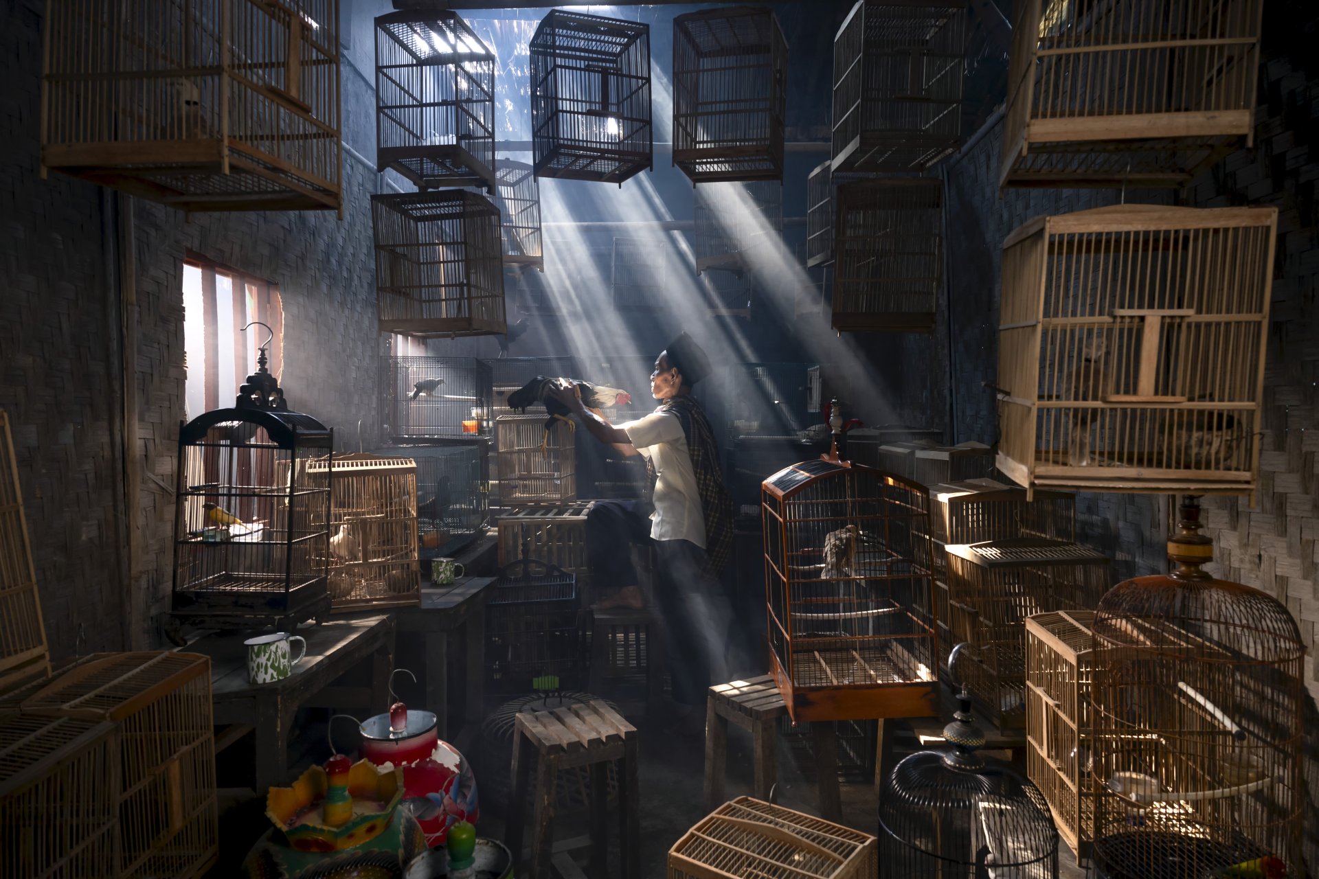 Portfolio image 13