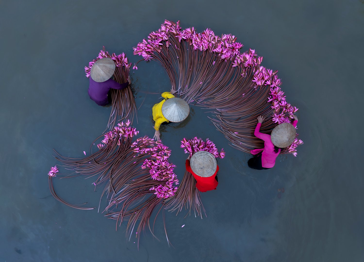 Portfolio image 14