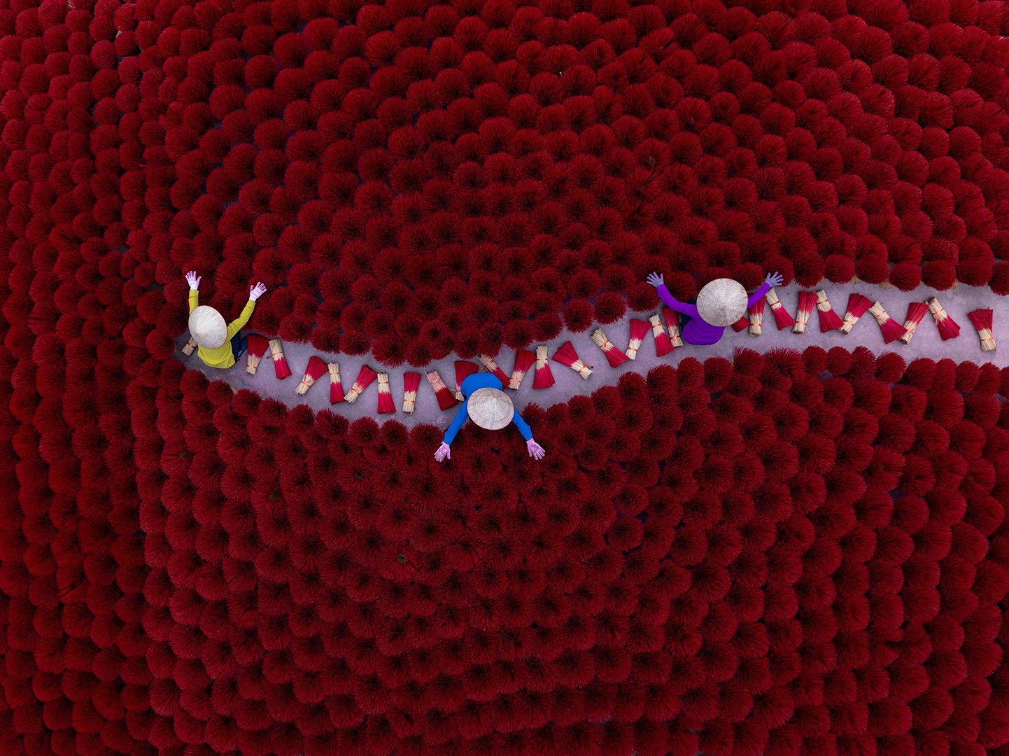 Portfolio image 2