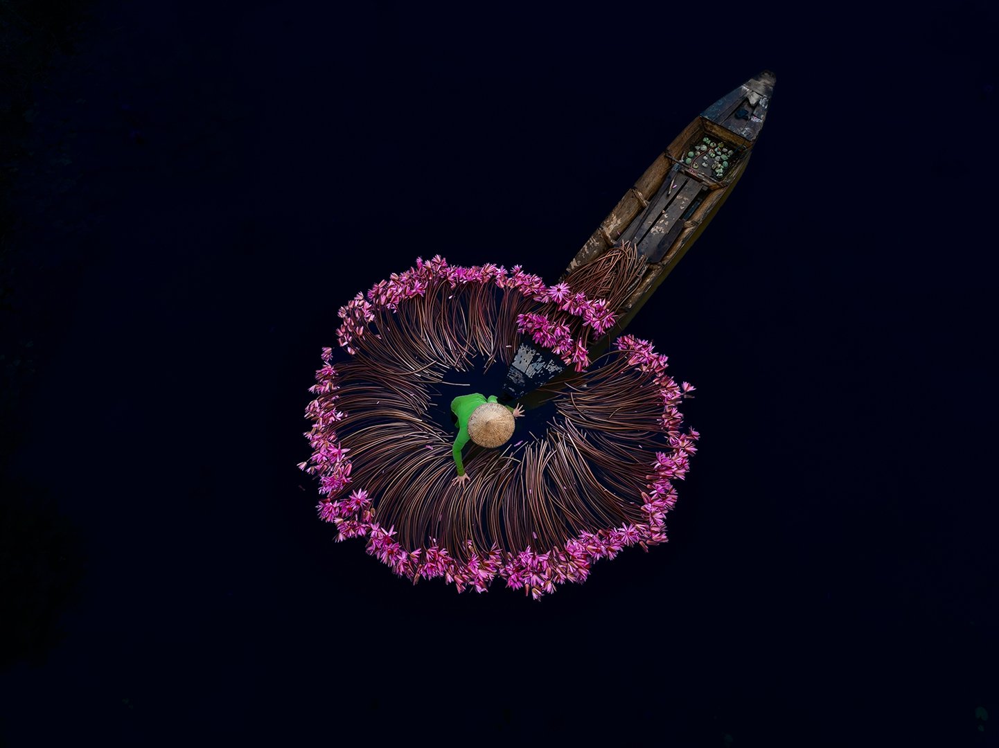 Portfolio image 9
