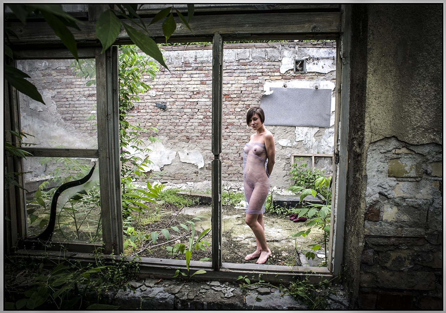 Portfolio image 7