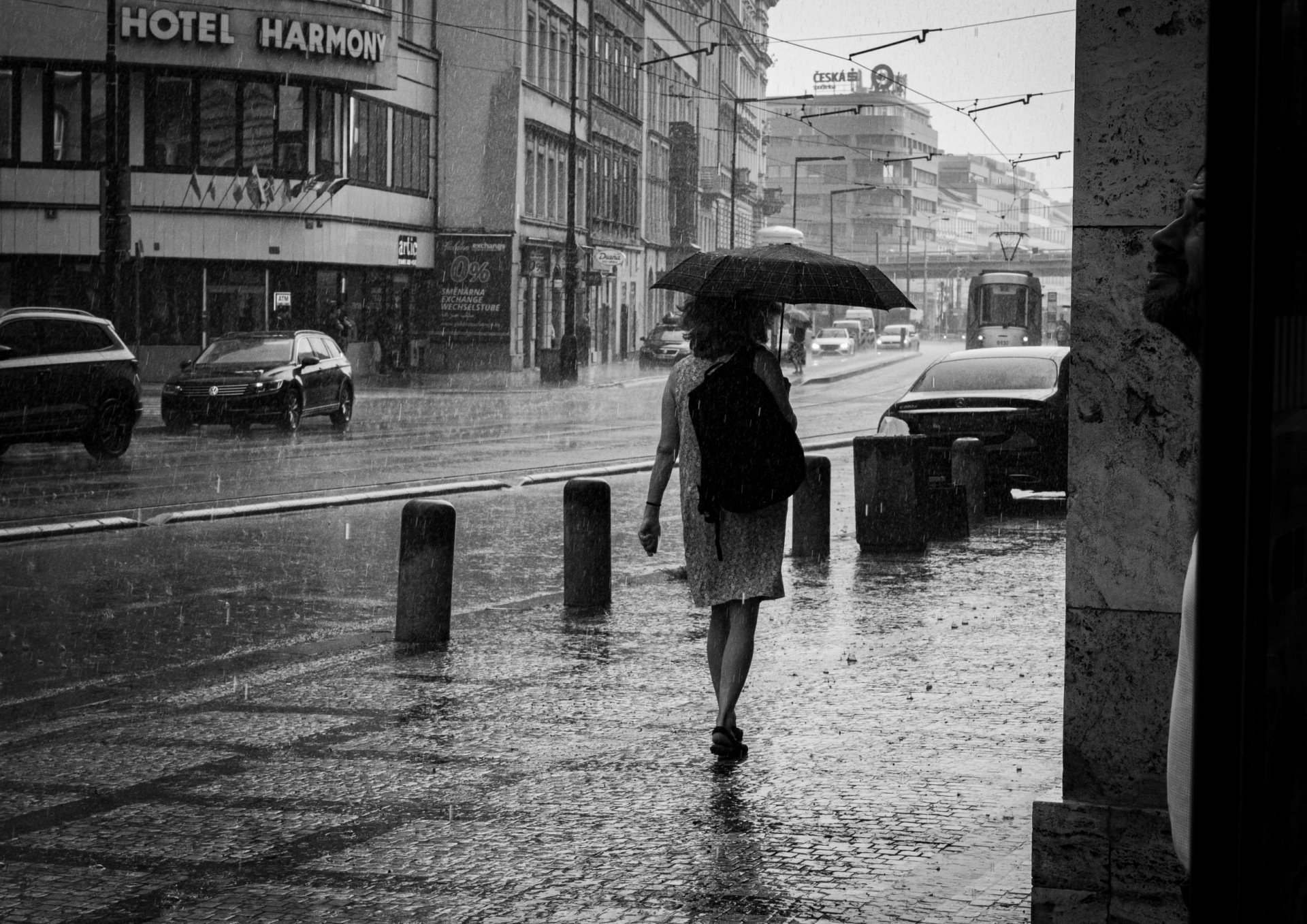 in the rain