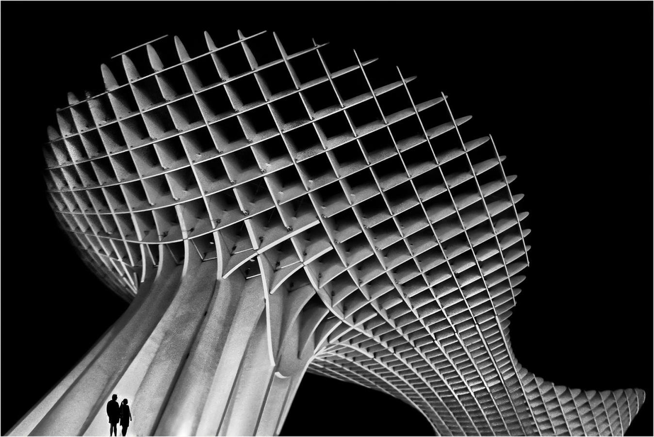Lines