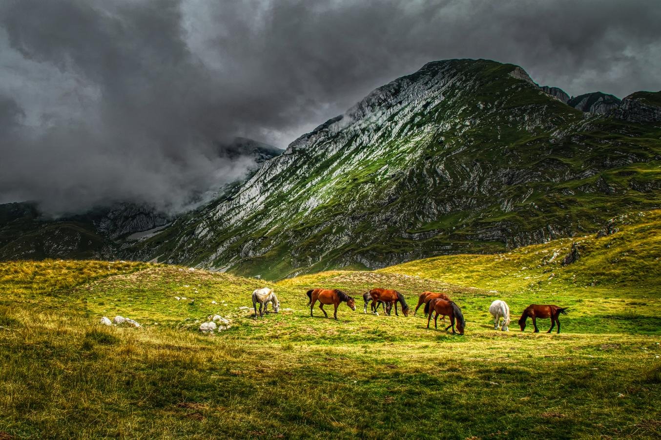 Mounts